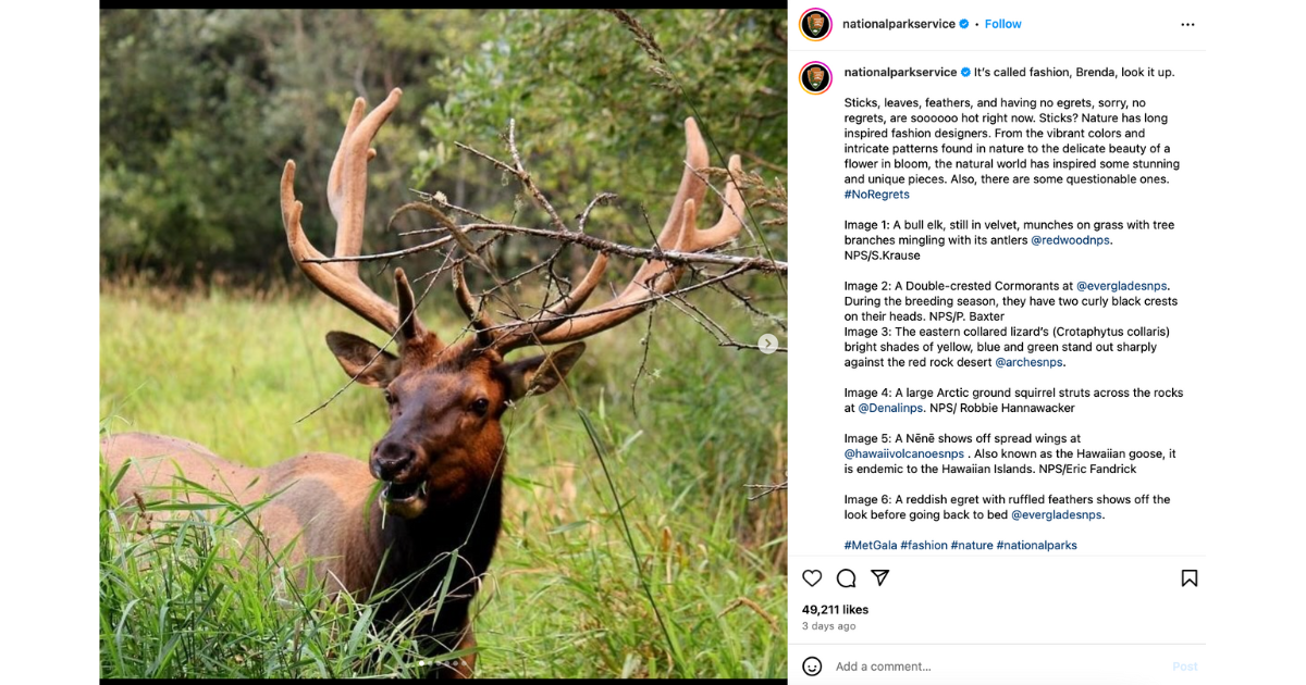 Screenshot of National Parks Service Instagram with a moose